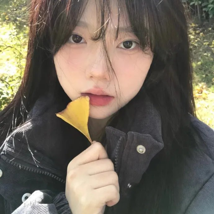 戴洛奇小镇第一季